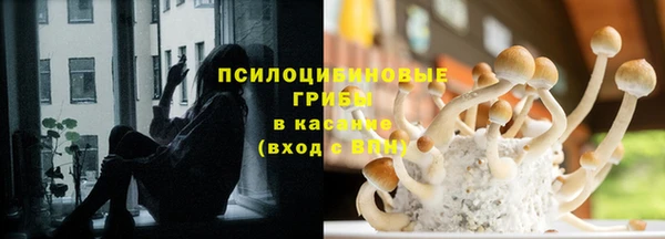винт Алзамай