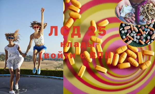 винт Алзамай