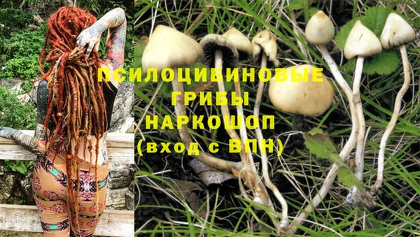 марки nbome Абинск